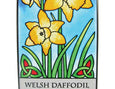Welsh Daffodil Gothic Panel