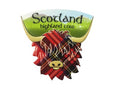 Highland Cow Head Resin Magnet