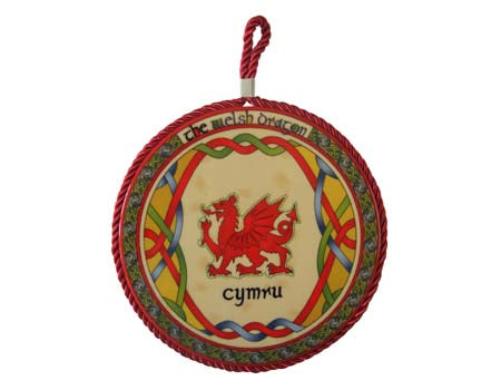 Welsh Dragon Rope Plaque