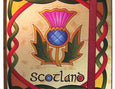 Celtic Notes Scottish Thistle Notebook
