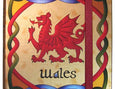 Celtic Notes Welsh Dragon Notebook